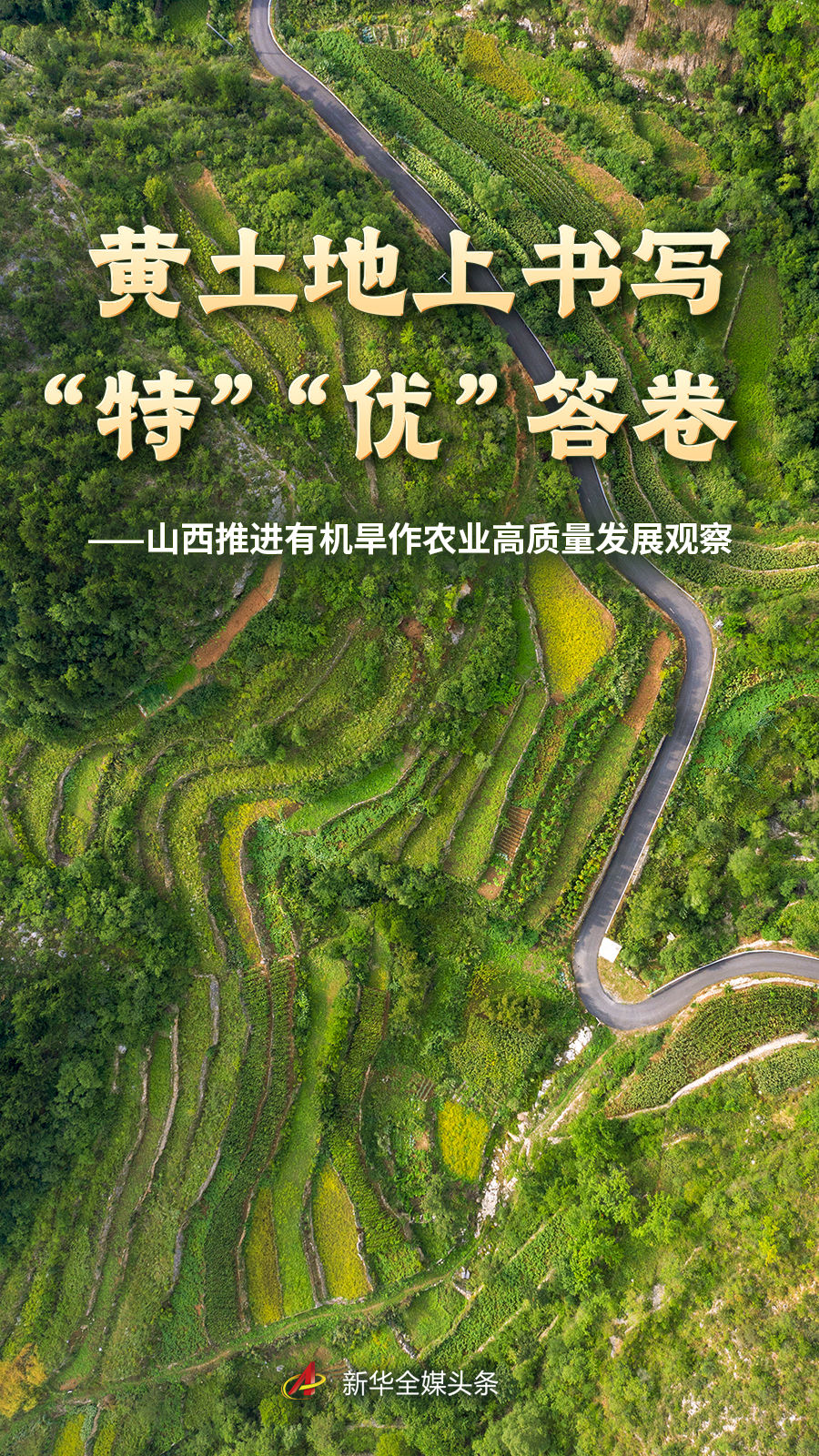 kaiyun深耕海量热门赛事，一手掌握领域，用心服务每一位用户。 - kaiyun